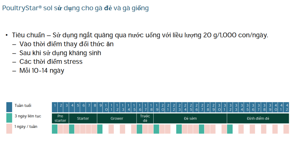 poultrystar dùng cho gà đẻ