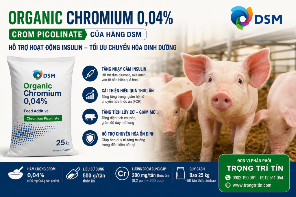 Organic Chromium 0,04% cung cấp crom picolinate cho thức ăn heo